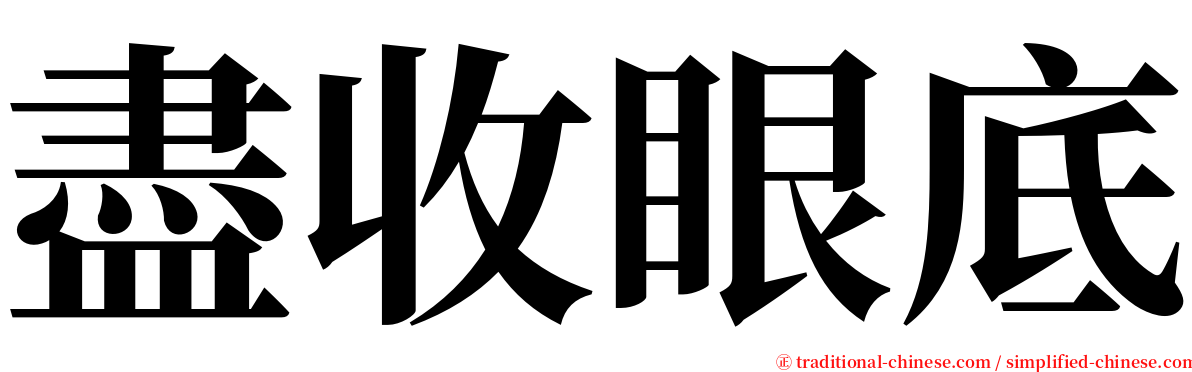 盡收眼底 serif font