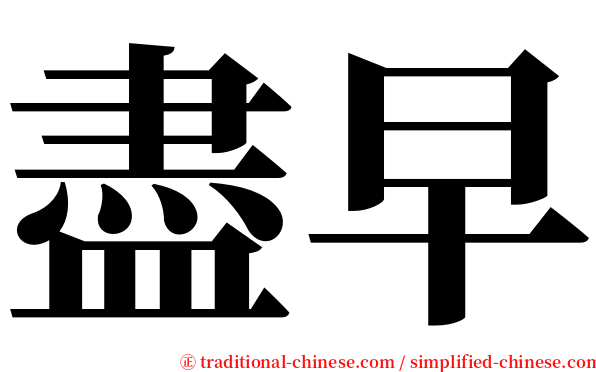 盡早 serif font