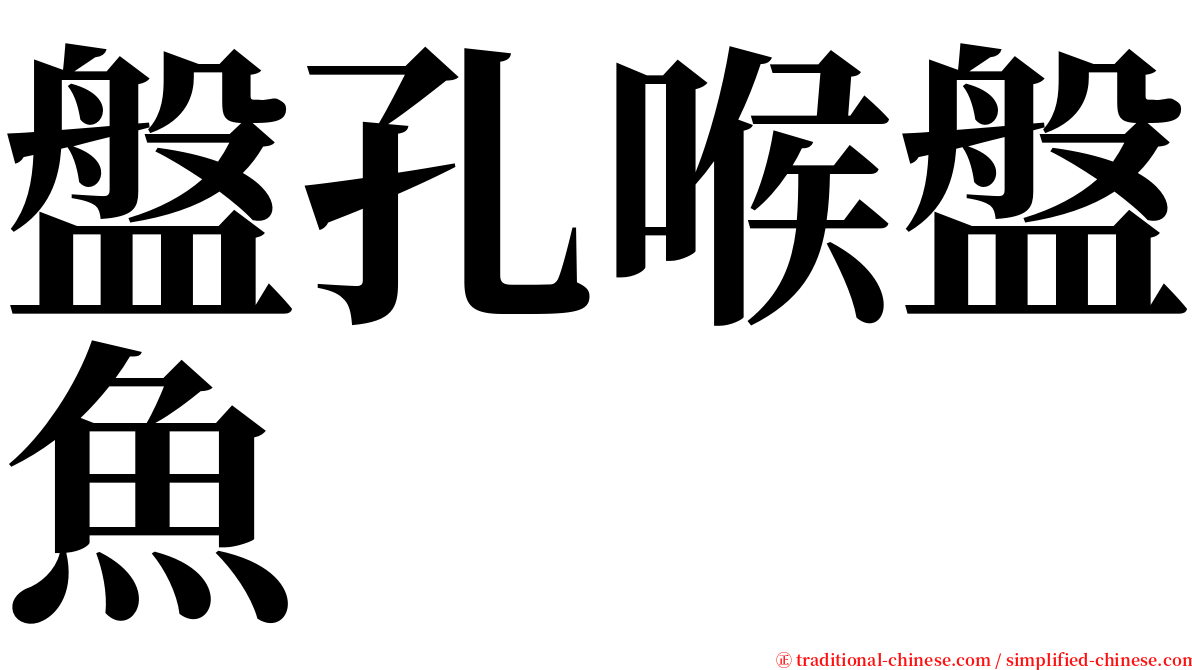 盤孔喉盤魚 serif font