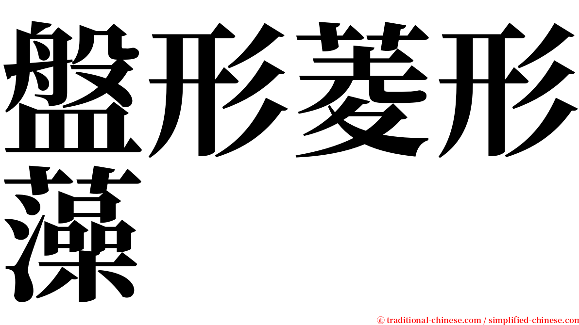 盤形菱形藻 serif font