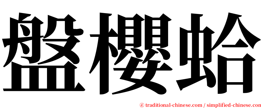 盤櫻蛤 serif font