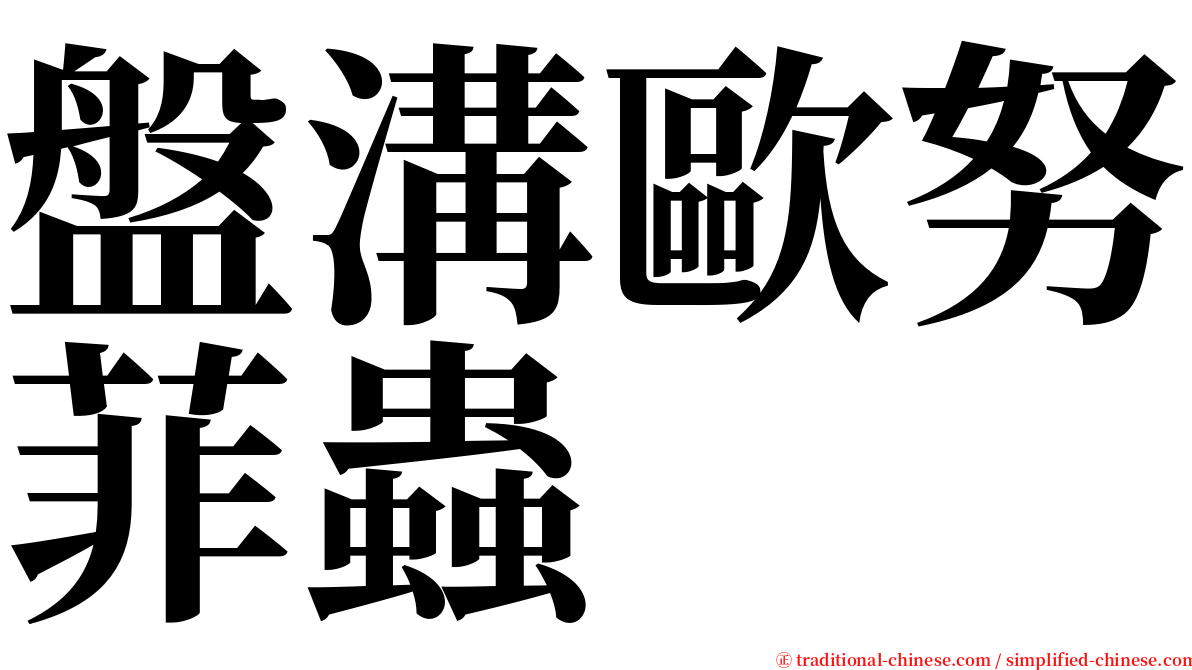 盤溝歐努菲蟲 serif font