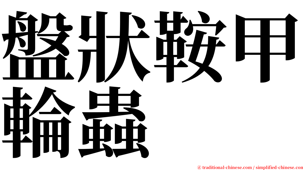 盤狀鞍甲輪蟲 serif font