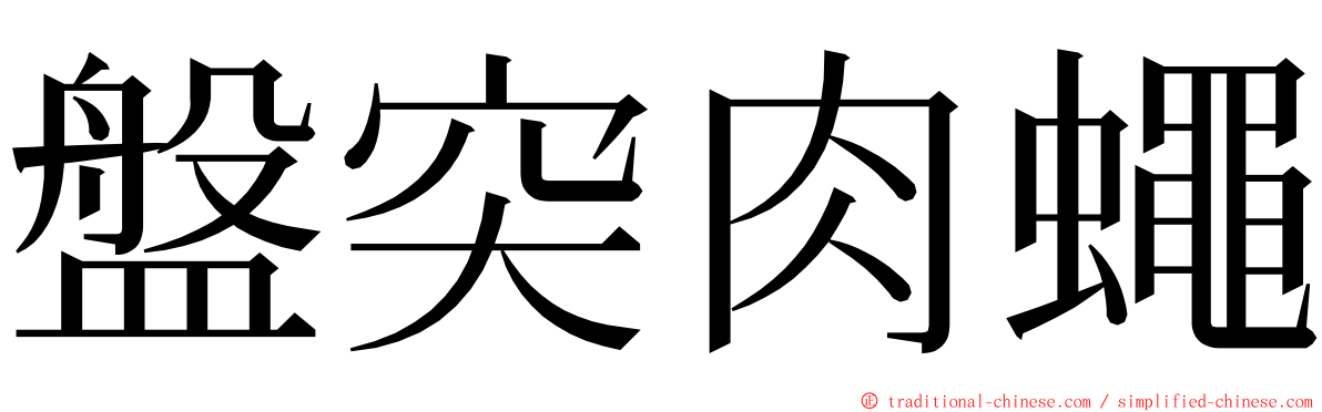 盤突肉蠅 ming font