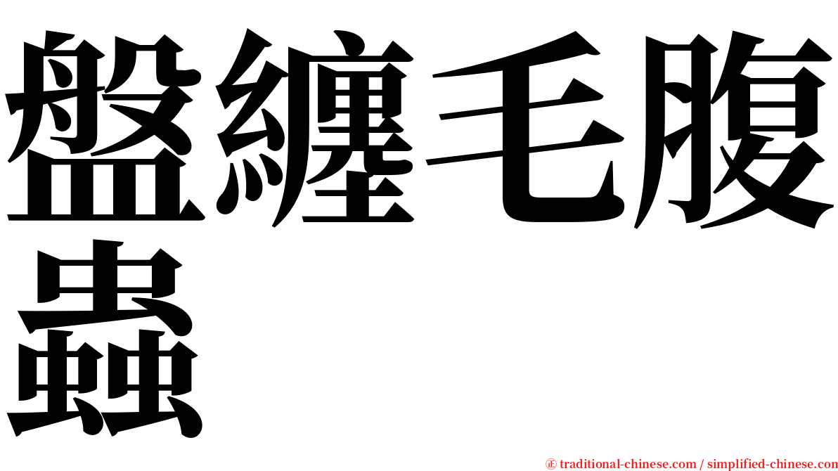 盤纏毛腹蟲 serif font