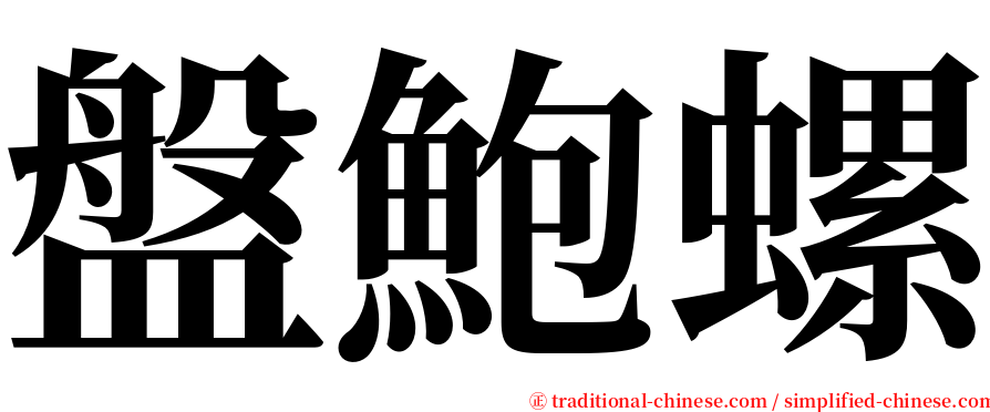 盤鮑螺 serif font