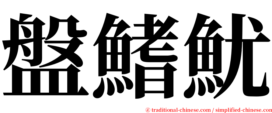 盤鰭魷 serif font