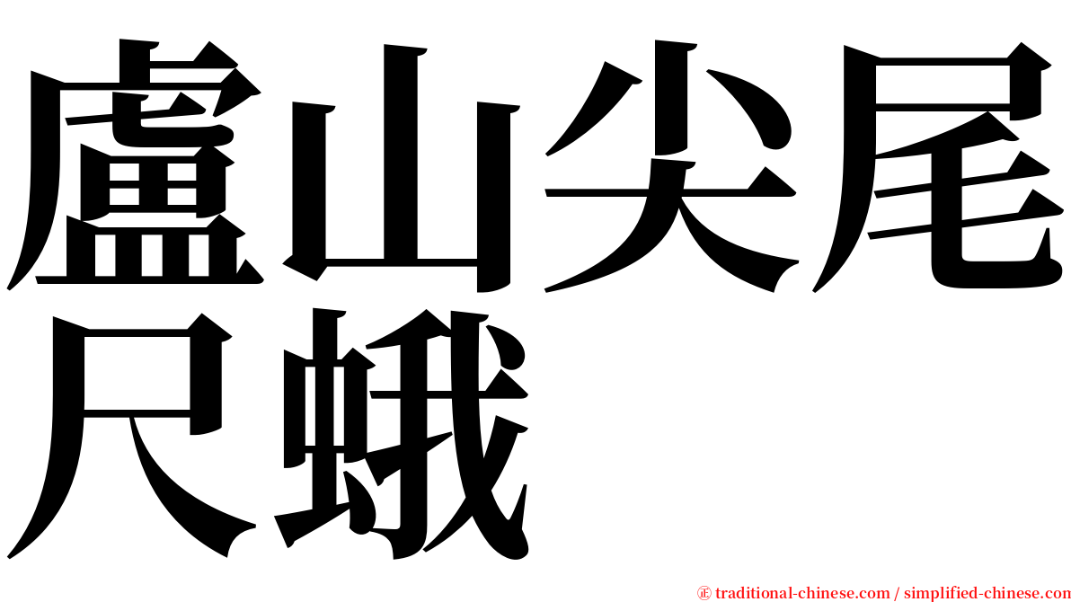 盧山尖尾尺蛾 serif font