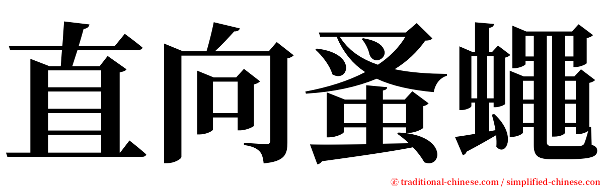 直向蚤蠅 serif font