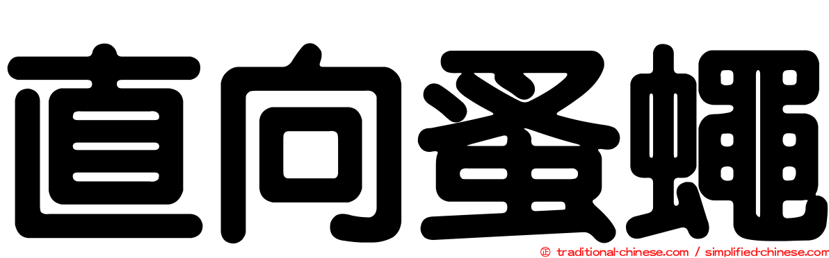 直向蚤蠅