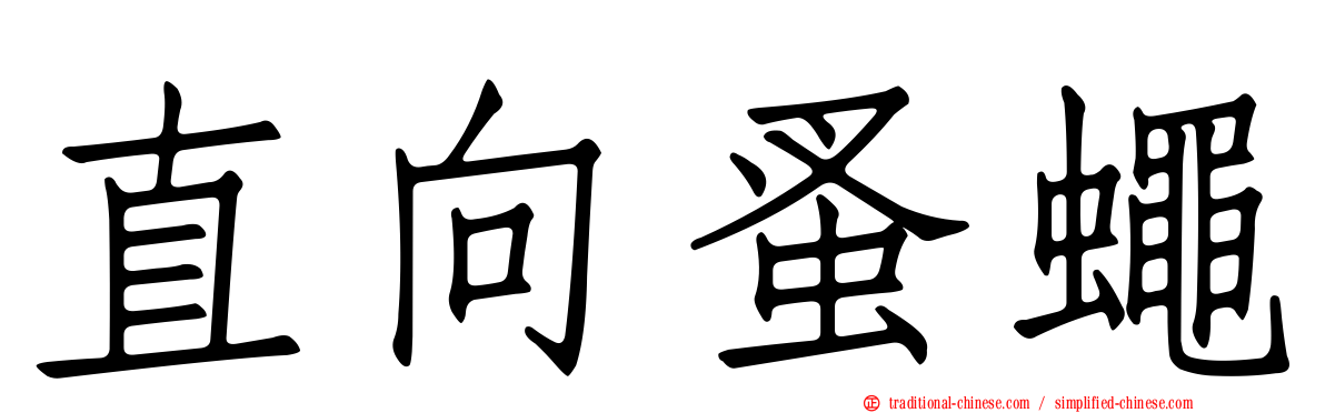 直向蚤蠅