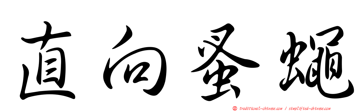 直向蚤蠅
