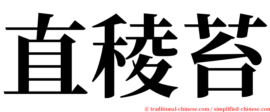 直稜苔 serif font