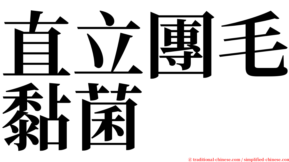 直立團毛黏菌 serif font