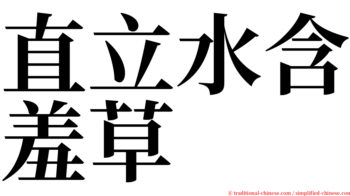 直立水含羞草 serif font