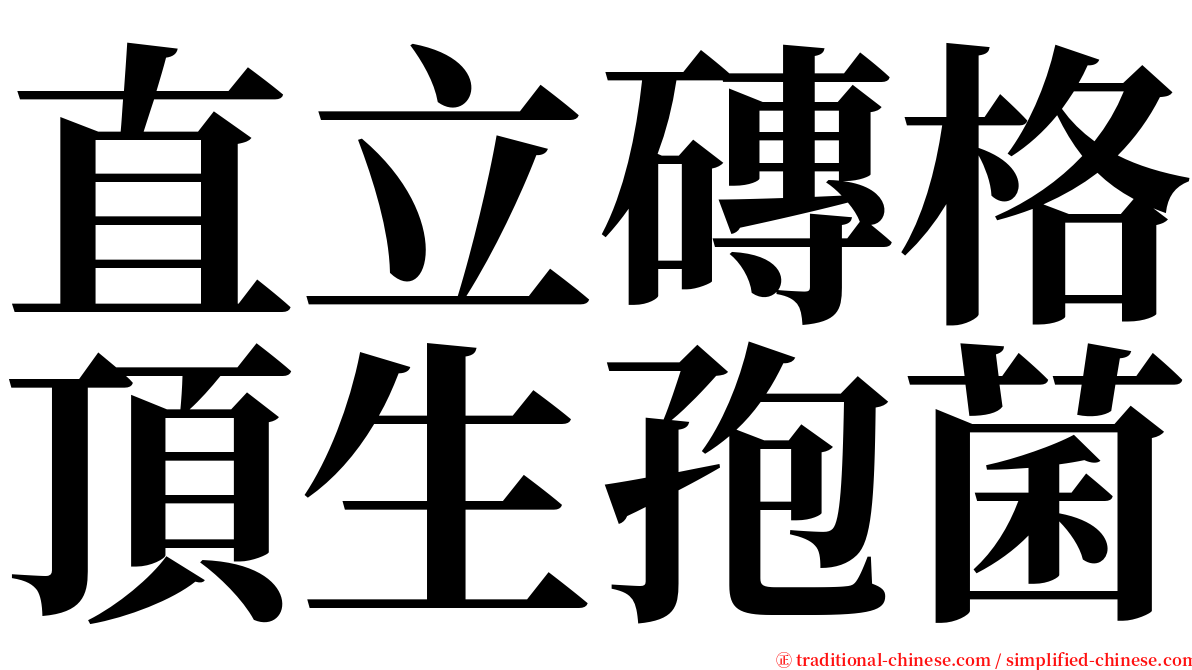 直立磚格頂生孢菌 serif font