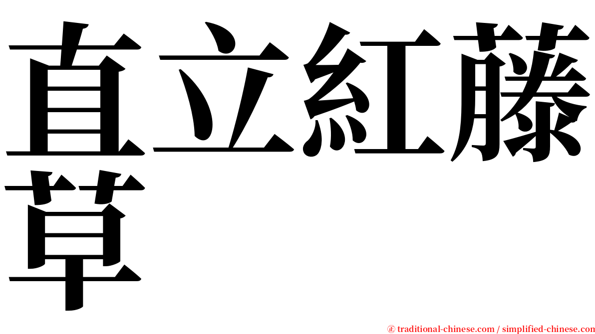 直立紅藤草 serif font