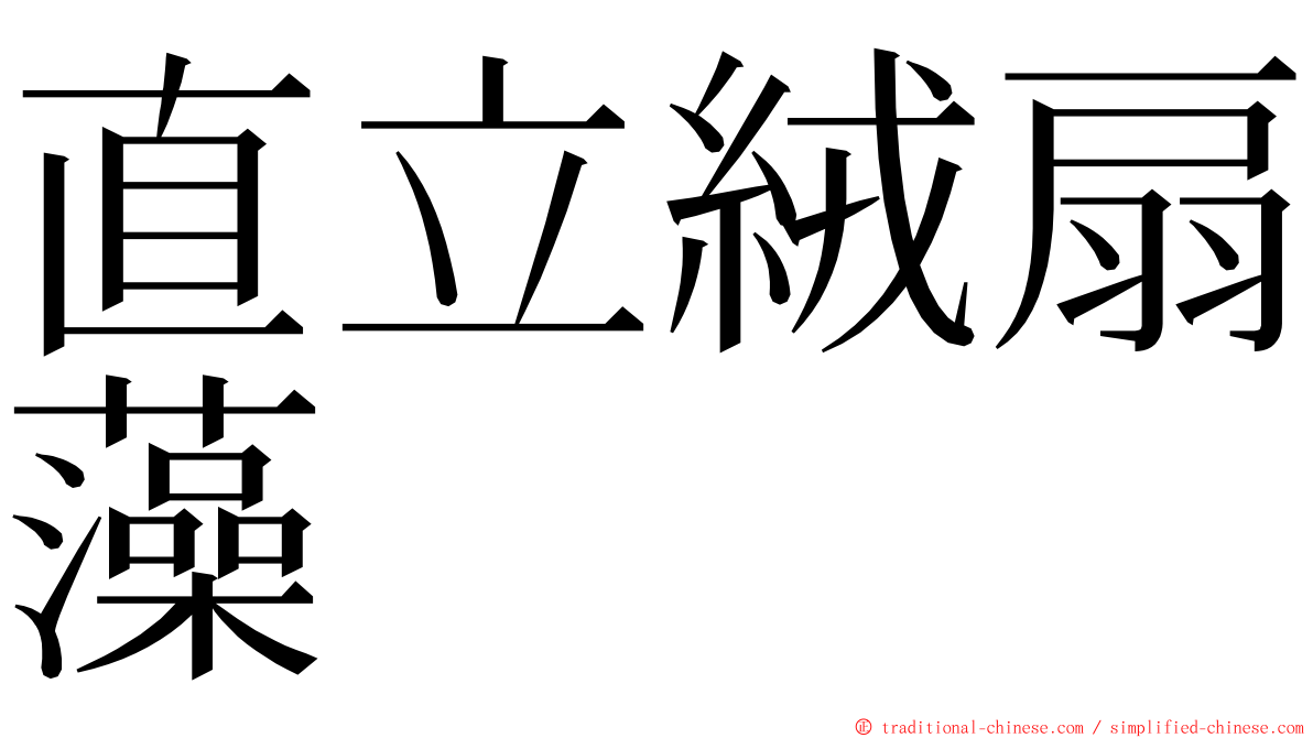 直立絨扇藻 ming font