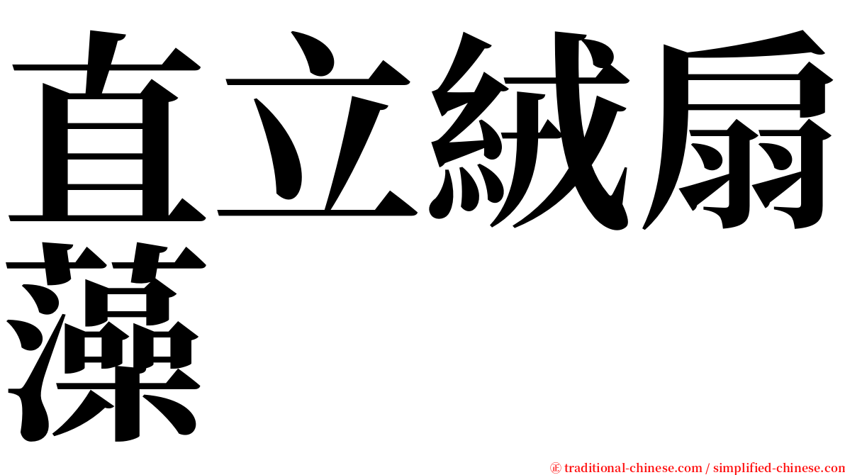 直立絨扇藻 serif font