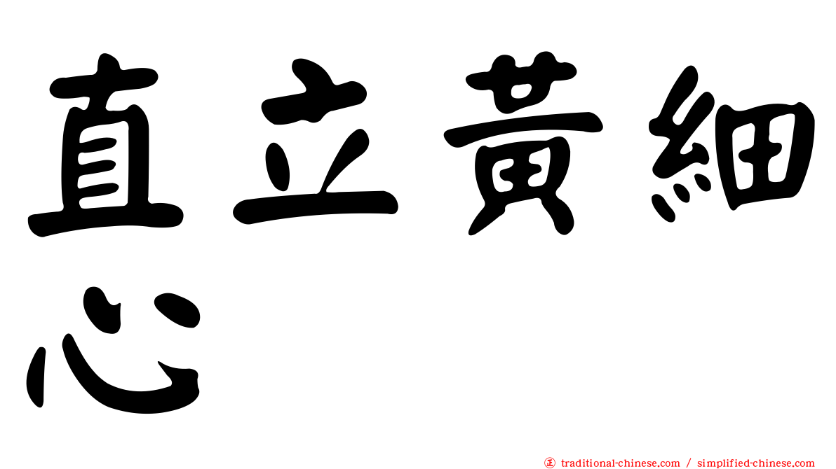 直立黃細心