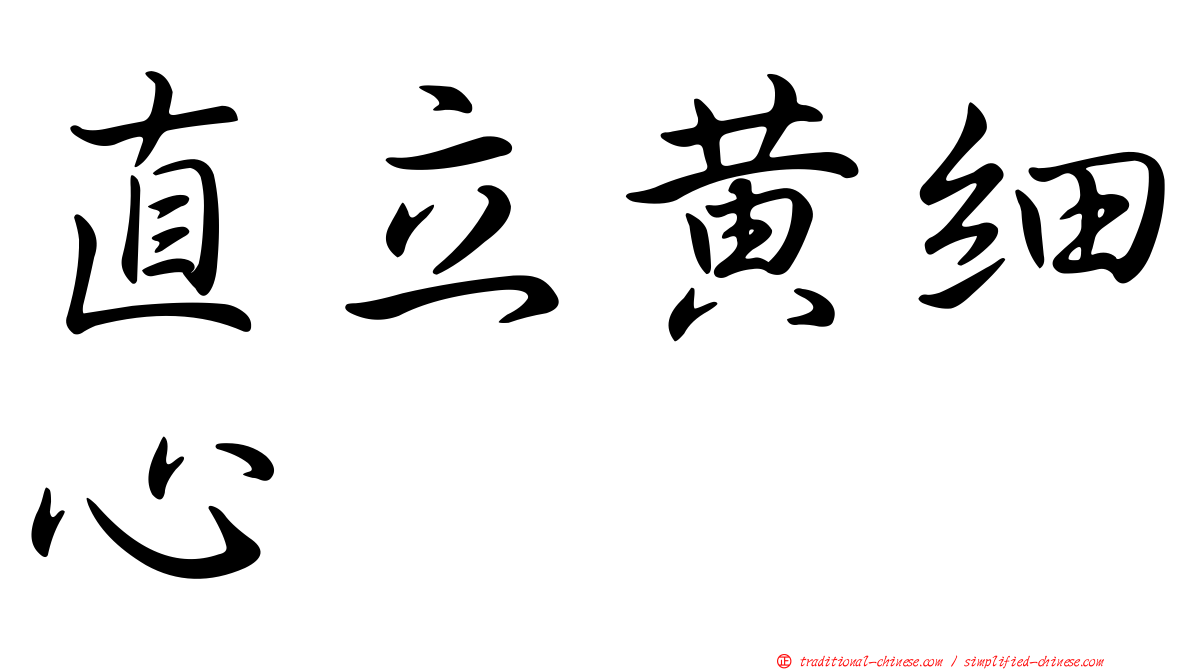 直立黃細心