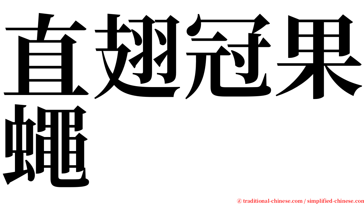 直翅冠果蠅 serif font