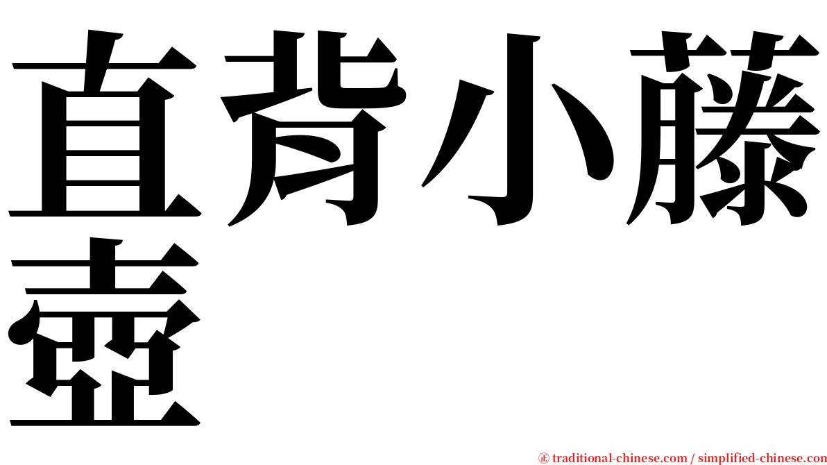 直背小藤壺 serif font