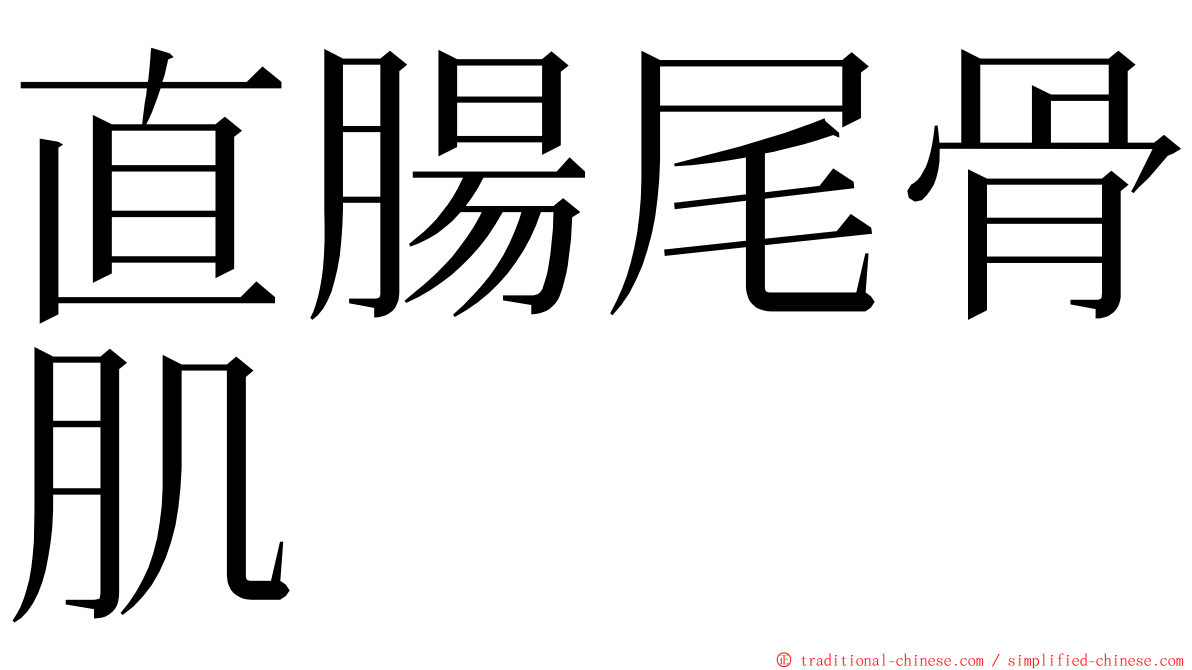 直腸尾骨肌 ming font