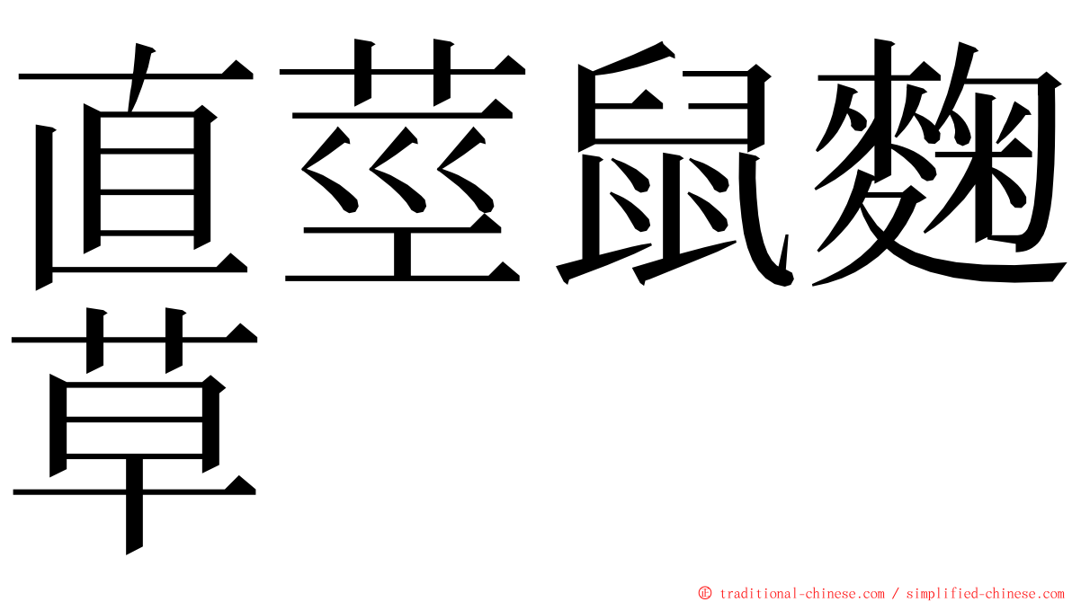 直莖鼠麴草 ming font