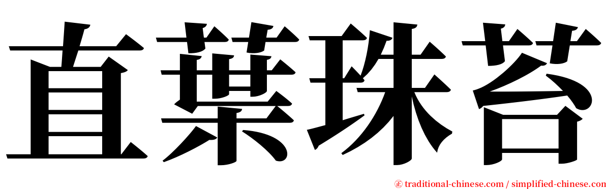 直葉珠苔 serif font