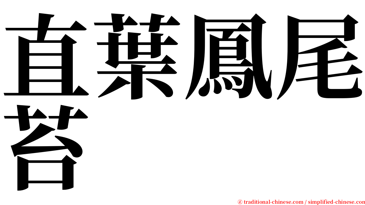 直葉鳳尾苔 serif font