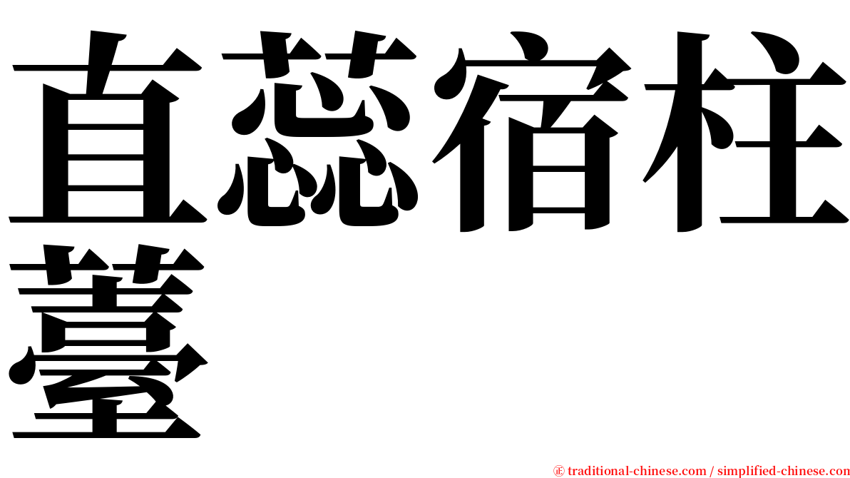 直蕊宿柱薹 serif font