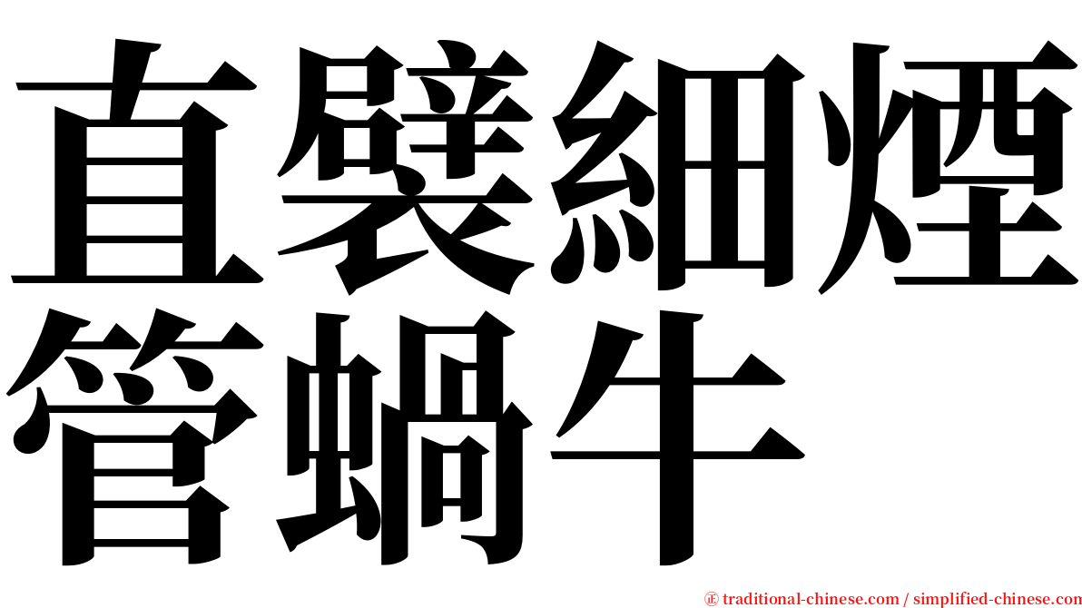 直襞細煙管蝸牛 serif font