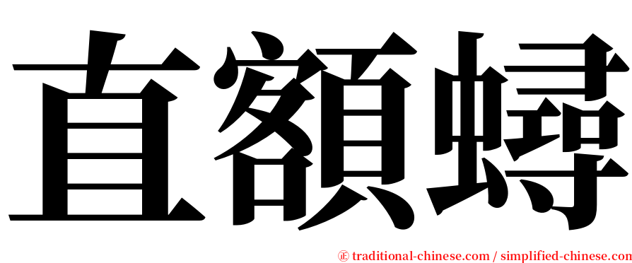 直額蟳 serif font