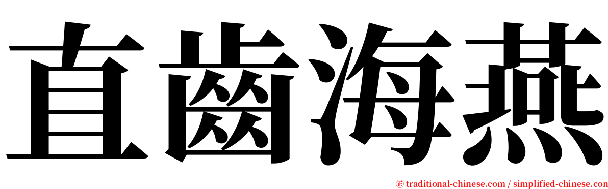 直齒海燕 serif font