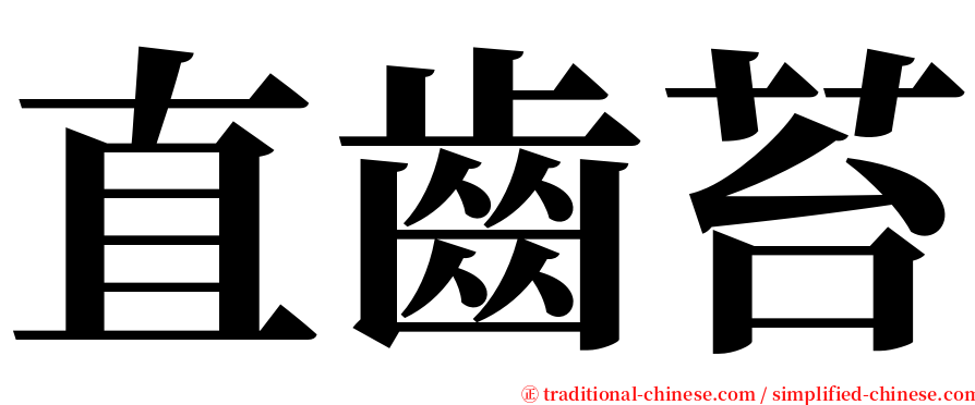 直齒苔 serif font