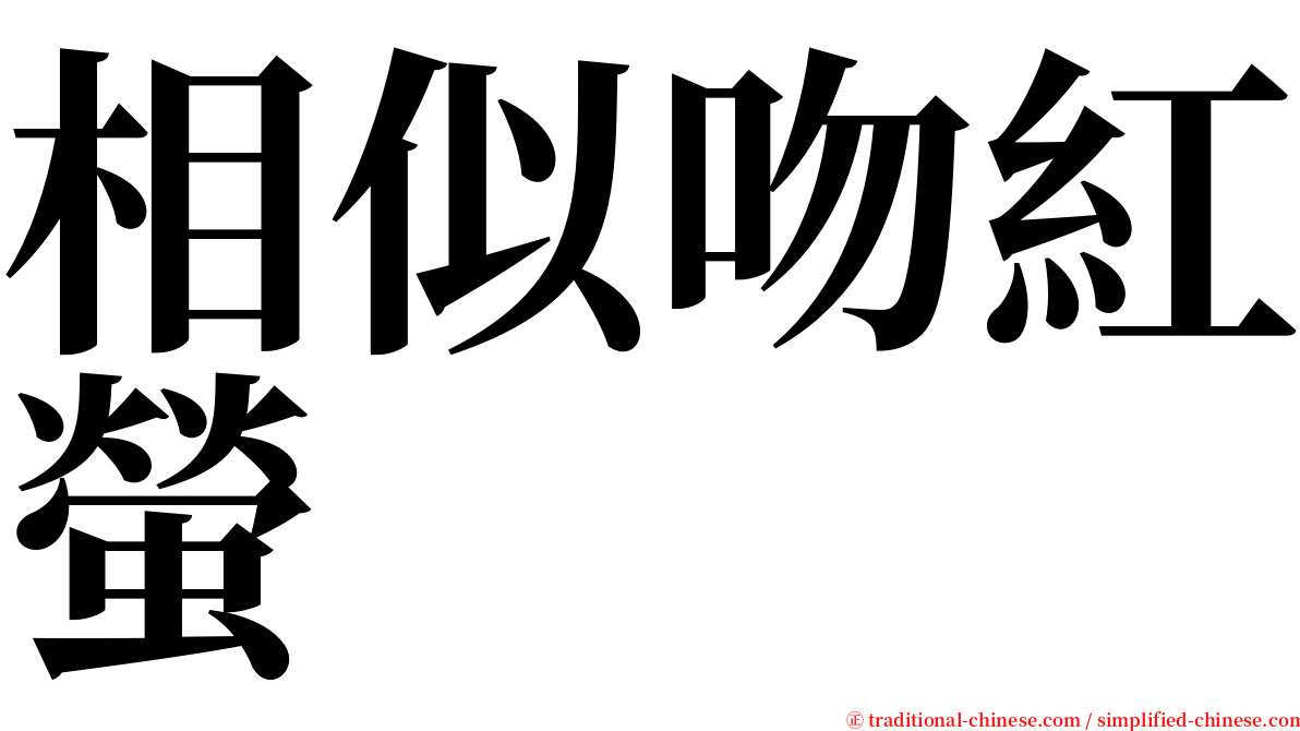 相似吻紅螢 serif font