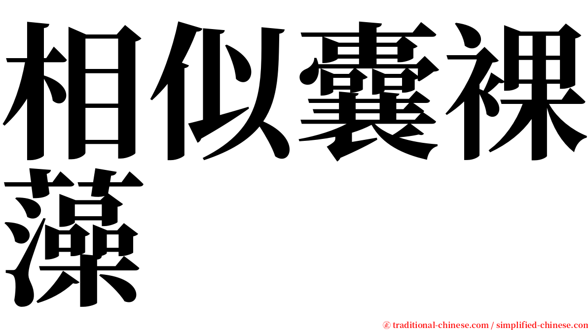 相似囊裸藻 serif font