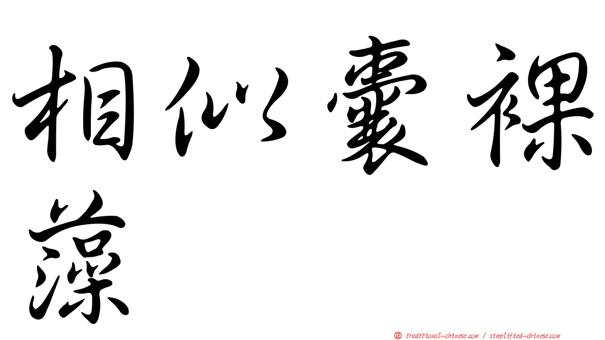 相似囊裸藻