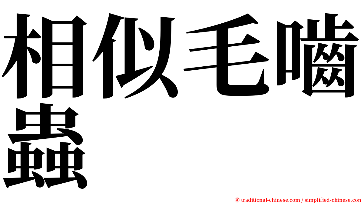 相似毛嚙蟲 serif font