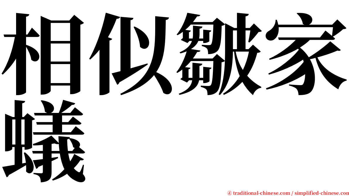 相似皺家蟻 serif font