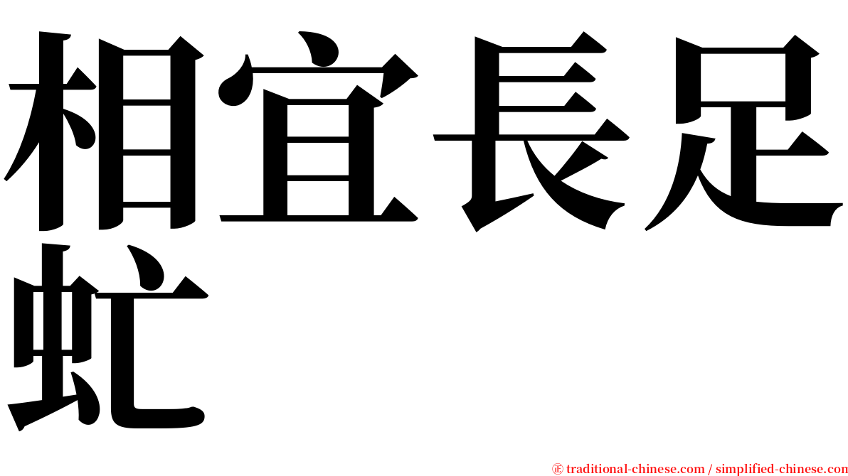 相宜長足虻 serif font