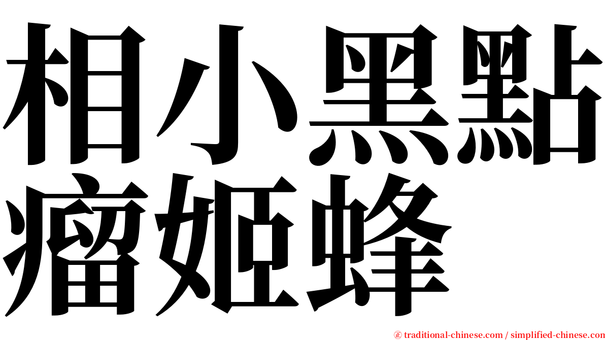 相小黑點瘤姬蜂 serif font