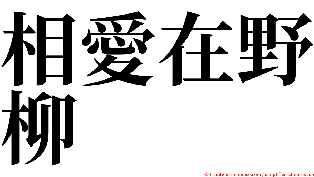 相愛在野柳 serif font