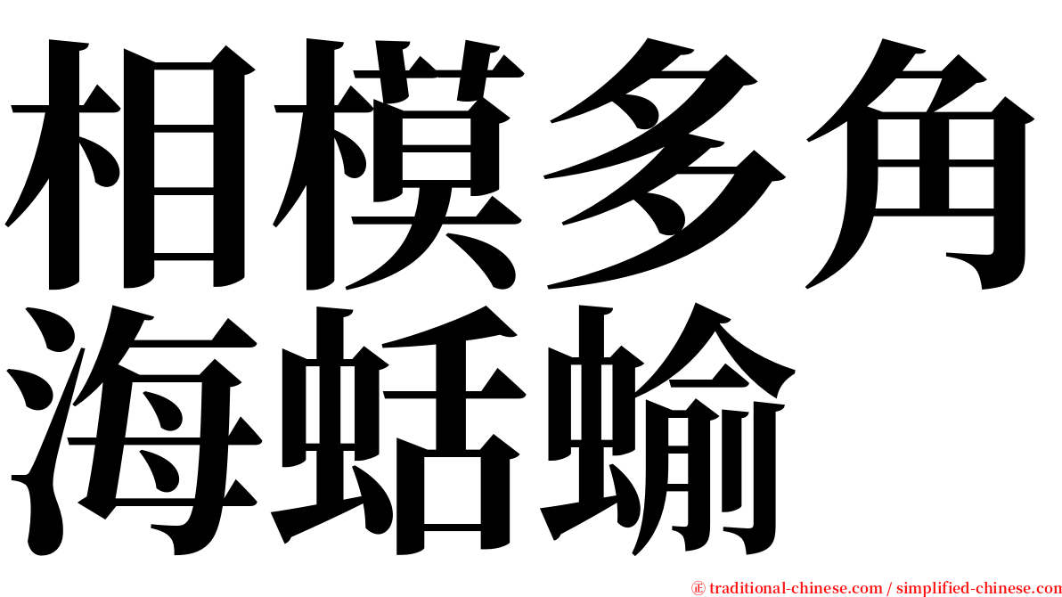 相模多角海蛞蝓 serif font