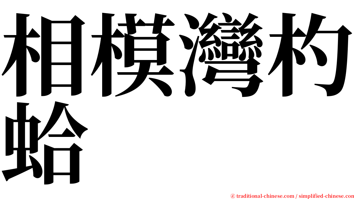 相模灣杓蛤 serif font