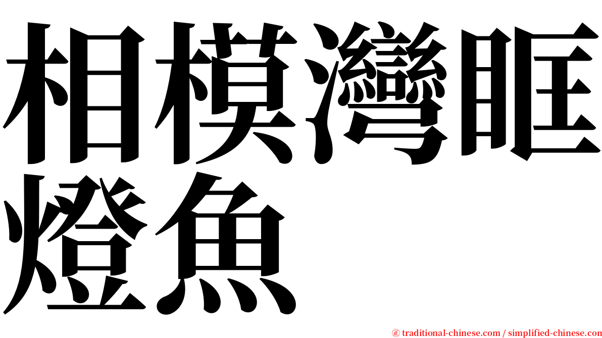 相模灣眶燈魚 serif font