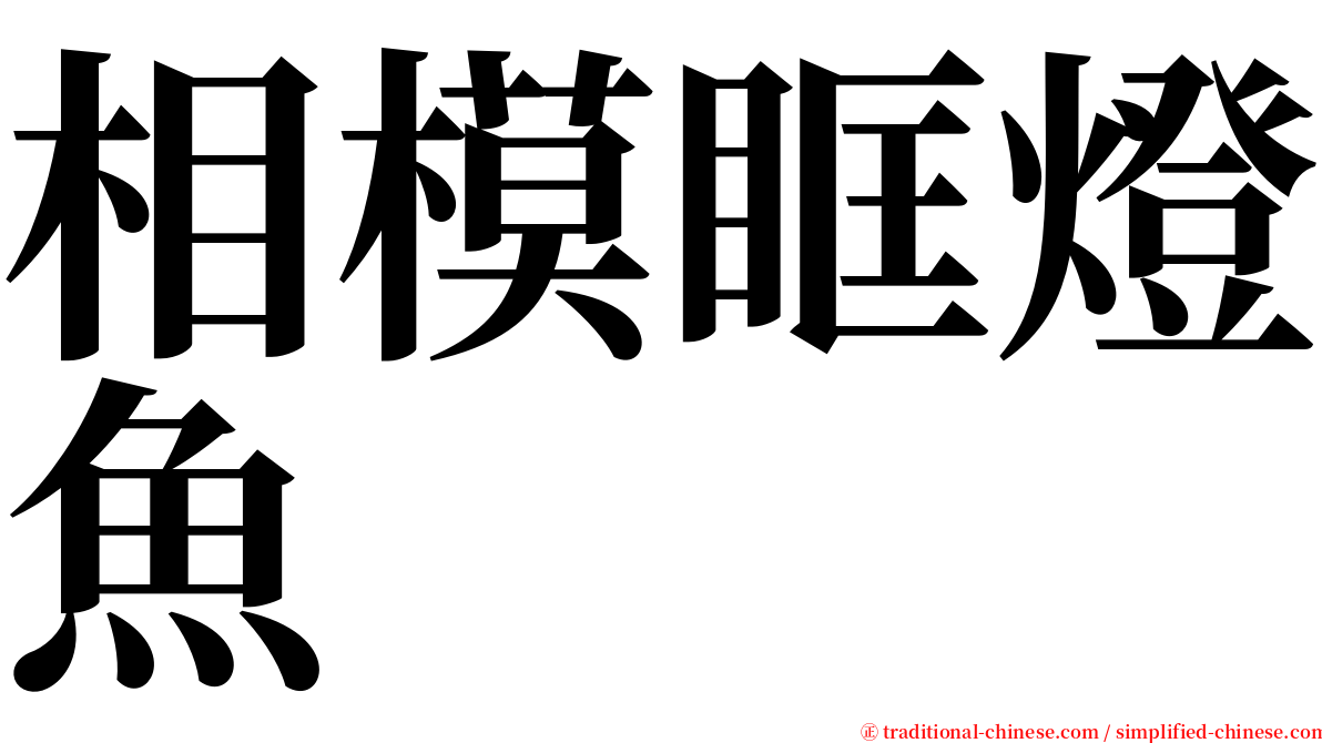 相模眶燈魚 serif font