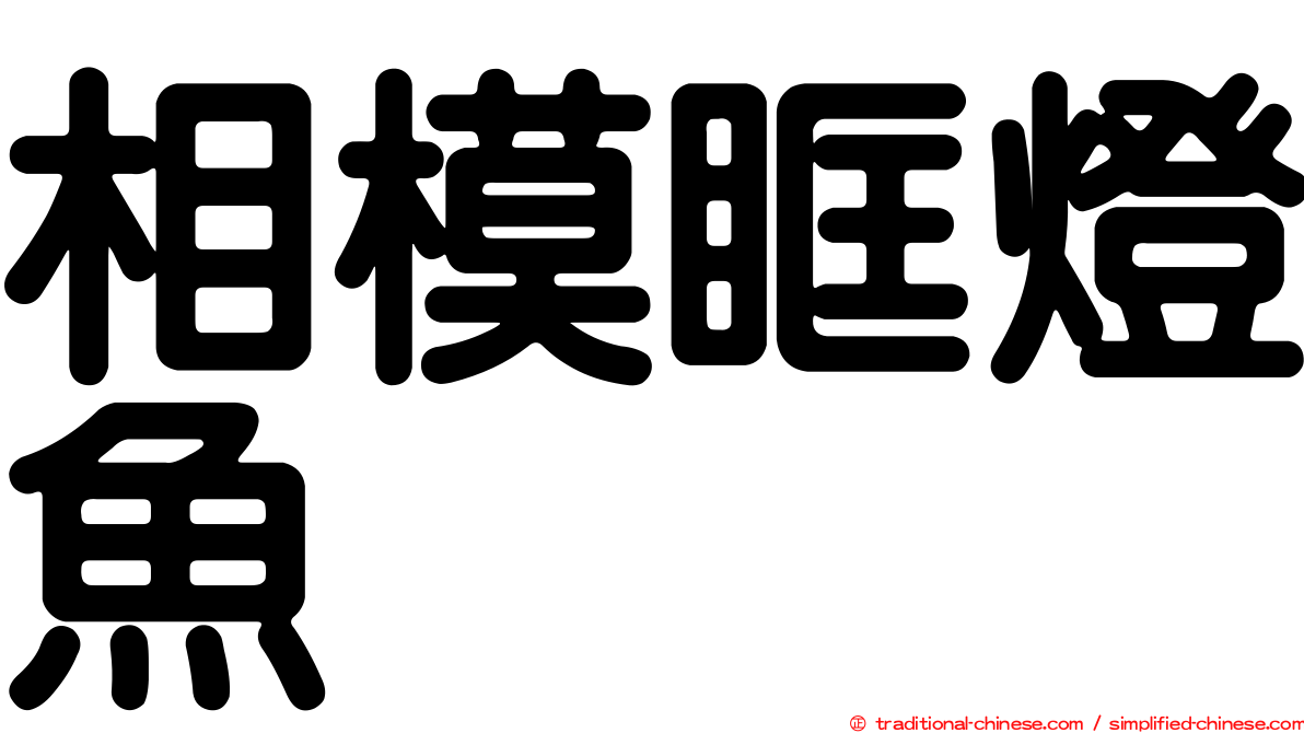 相模眶燈魚