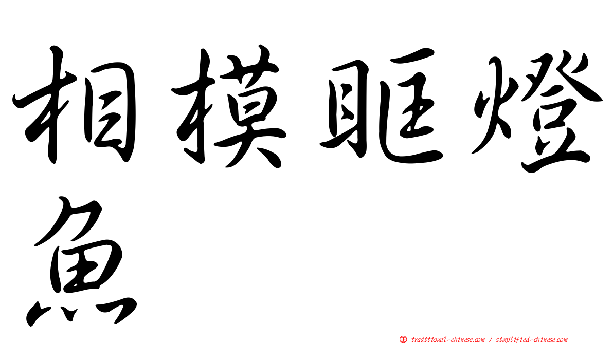 相模眶燈魚